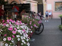 Zdjcie przykadowe nr: 8