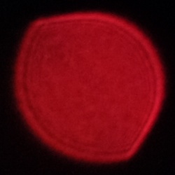 Viltrox AF 15 mm f/1.7 Air - Coma, astigmatism and bokeh