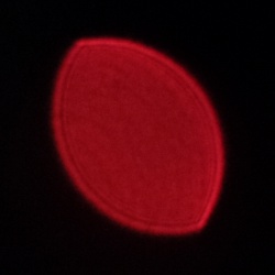 Viltrox AF 25 mm f/1.7 Air - Coma, astigmatism and bokeh