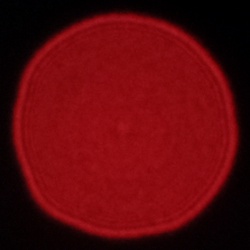 Viltrox AF 25 mm f/1.7 Air - Coma, astigmatism and bokeh