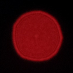 Viltrox AF 25 mm f/1.7 Air - Coma, astigmatism and bokeh