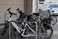 Zdjcie przykadowe nr: 2