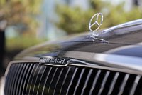 Zdjcie przykadowe nr: 14