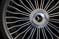 Zdjcie przykadowe nr: 16