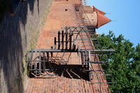 Panasonic Lumix S 85 mm f/1.8 - Sample shots