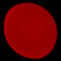 Panasonic Lumix S 85 mm f/1.8 - Coma, astigmatism and bokeh