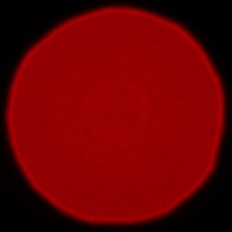 Panasonic Lumix S 85 mm f/1.8 - Coma, astigmatism and bokeh