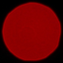 Panasonic Lumix S 85 mm f/1.8 - Coma, astigmatism and bokeh