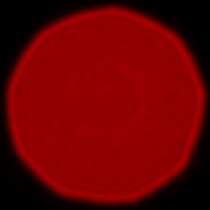 Panasonic Lumix S 85 mm f/1.8 - Coma, astigmatism and bokeh