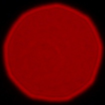 Panasonic Lumix S 85 mm f/1.8 - Coma, astigmatism and bokeh