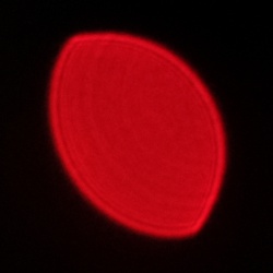 Viltrox AF 35 mm f/1.7 Air - Coma, astigmatism and bokeh