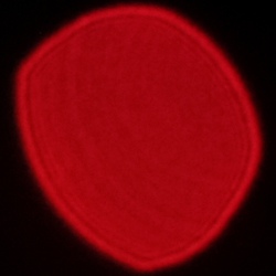 Viltrox AF 35 mm f/1.7 Air - Coma, astigmatism and bokeh