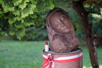 Viltrox AF 56 mm f/1.7 Air - Sample shots