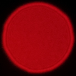 Viltrox AF 56 mm f/1.7 Air - Coma, astigmatism and bokeh