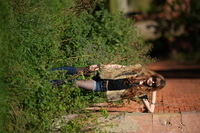 Sigma S 200 mm f/2 DG OS - sample shots