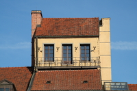 Sigma S 200 mm f/2 DG OS - sample shots