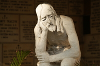 Sigma S 200 mm f/2 DG OS - sample shots