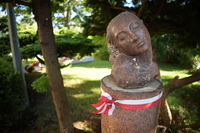 Sigma C 12 mm f/1.4 DC - sample images