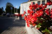 Sigma C 12 mm f/1.4 DC - sample images