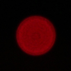 Sigma C 12 mm f/1.4 DC - Chromatic and spherical aberration