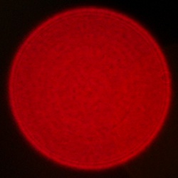 Sigma C 12 mm f/1.4 DC - Coma, astigmatism and bokeh