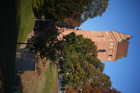 Samyang AF 85 mm f/1.8 P FE - sample shots