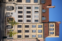 Samyang AF 85 mm f/1.8 P FE - sample shots