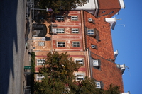 Samyang AF 85 mm f/1.8 P FE - sample shots