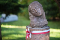 Samyang AF 85 mm f/1.8 P FE - sample shots