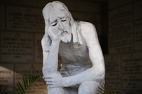 Samyang AF 85 mm f/1.8 P FE - sample shots