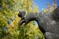 Sigma C 20-200 mm f/3.5-6.3 DG - sample shots