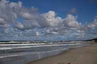 Sigma C 20-200 mm f/3.5-6.3 DG - sample shots