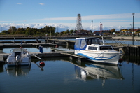 Sigma C 20-200 mm f/3.5-6.3 DG - sample shots