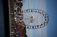 Sigma C 20-200 mm f/3.5-6.3 DG - sample shots