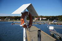 Sigma C 20-200 mm f/3.5-6.3 DG - sample shots