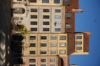 Sigma C 20-200 mm f/3.5-6.3 DG - sample shots