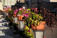 Sigma C 20-200 mm f/3.5-6.3 DG - sample shots