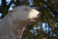 Sigma C 20-200 mm f/3.5-6.3 DG - sample shots