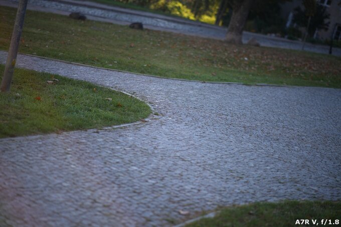 Samyang AF 85 mm f/1.8 P FE - Ghosting and flares