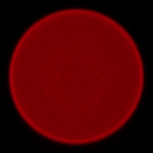 Samyang AF 85 mm f/1.8 P FE - Chromatic and spherical aberration