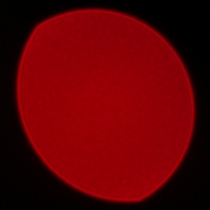 Samyang AF 85 mm f/1.8 P FE - Coma, astigmatism and bokeh