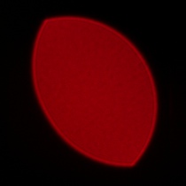 Samyang AF 85 mm f/1.8 P FE - Coma, astigmatism and bokeh