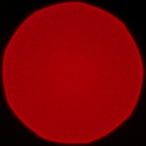 Samyang AF 85 mm f/1.8 P FE - Coma, astigmatism and bokeh