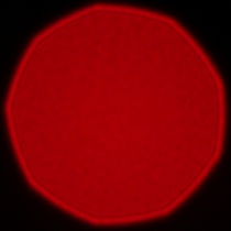 Samyang AF 85 mm f/1.8 P FE - Coma, astigmatism and bokeh