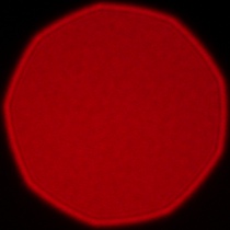 Samyang AF 85 mm f/1.8 P FE - Coma, astigmatism and bokeh