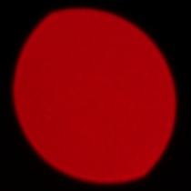 Sigma S 200 mm f/2 DG OS - Coma, astigmatism and bokeh