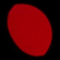 Sigma S 200 mm f/2 DG OS - Coma, astigmatism and bokeh