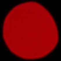 Sigma S 200 mm f/2 DG OS - Coma, astigmatism and bokeh