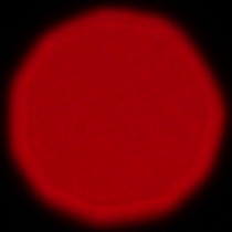 Sigma S 200 mm f/2 DG OS - Coma, astigmatism and bokeh