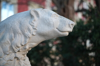 Viltrox AF 85 mm f/2 EVO - Sample shots